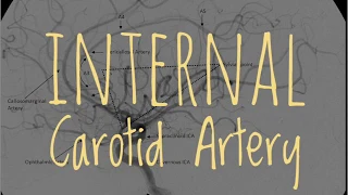 Internal Carotid Artery | Branches | Mnemonics | Anatomy | Manoti Alawadi