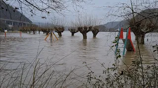 Hochwasser in Andernach am Rhein 06.02.2021 | 4K 60fps