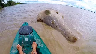 15 GoPro Moments You Have To See To Believe