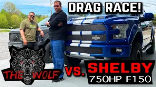 Supercharged F150 5.0 vs Shelby F150 750 Horsepower - Drag Race and Roll Race - THE WOLF's 1st Race!