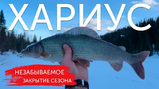 ХАРИУС ОБРЫВАЕТ ЛЕСКИ! Незабываемое закрытие сезона.