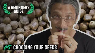 Choosing Your Cannabis Seeds - A Beginner's Guide with Kyle Kushman #5