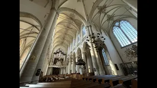 Grote Kerk Dordrecht : You raise me up