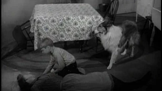 Lassie - Episode #192 - "The Whopper" - Season 6 Ep. 10 - 11/08/1959