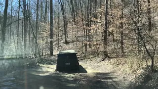 Daniel Boone Backcountry Byway - Spaas Creek 3/18/2018