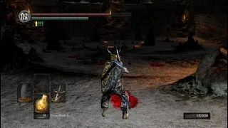 Average Gwyn fight.