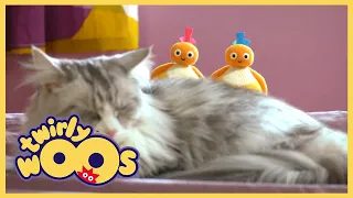 Twirlywoos Türkçe |  Yumuşak | Sezon 1 Bölüm 18 | Çocuklar İçin Çizgi Filmler