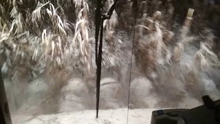 Полесье GS12 КЗС-1218. Уборка кукурузы по снегу. 2017 год