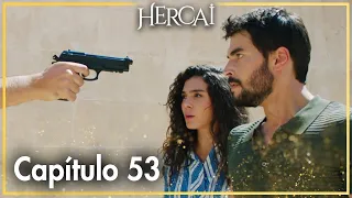 Hercai - Capítulo 53