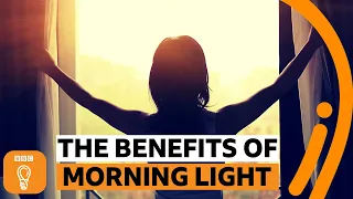 Why is morning light so important? | BBC Ideas