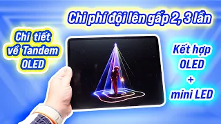 Tandem OLED: lý do khiến màn hình iPad Pro M4 đắt tiền hơn 2, 3 lần