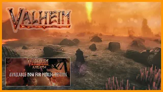 Valheim Ashlands побегал посмотрел в безопасном режиме)