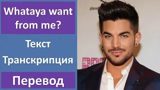 Adam Lambert - Whataya want from me? - текст, перевод, транскрипция