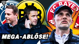 BVB will teuren TRANSFER-FLOP! VERRÜCKTE TUCHEL-WENDE! | KickNews
