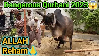 Khatarnak bachre ki Qurbani 2023😱| Bachra khabo se bahar😔