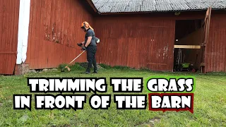 Trimming grass using my Husqvarna 336 FR