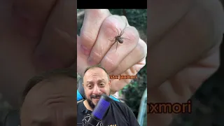 Aranha marrom na mão