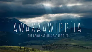 Trailer: "Awaxaawippíia: The Crow Nation’s Sacred Ties"