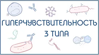 Гиперчувствительность 3 типа (иммунокомплексный) - механизм и примеры реализации