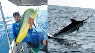 Pesca de DORADOS Y ATUNES, Mucha Pesca, MARLIN GIGANTE, PESCA Y AVENTURA 2022