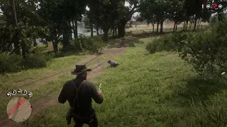 Red dead redemption 2 - witnesses are annoying