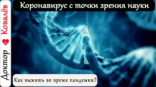 Как выжить во время пандемии коронавируса?