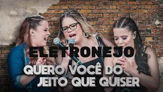 ELETRONEJO QUERO VOCÊ DO JEITO QUE QUISER - SERTANEJO REMIX