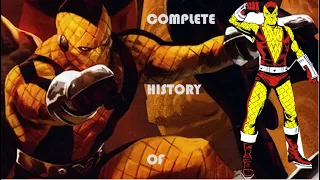 The History Of Shocker