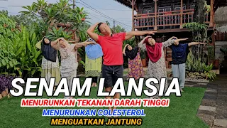 SENAM DARAH TINGGI COLESTEROL DAN JANTUNG TERBARU