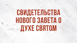 ST5101.3 Rus 15. Доктрина о Троице. Свидетельства Нового Завета о Духе Святом.