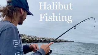 How To Catch Halibut In Huntington Harbor!