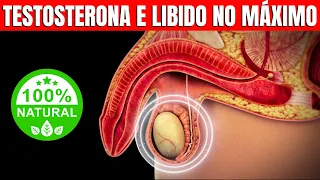 15 Alimentos para Impulsionar a Testosterona e Turbinar a Libido | CORPO HIPERTROFIADO