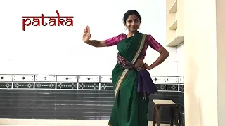 Lesson 1| Odissi Dance Basics | Prerequisites | Tulika Tripathy #odissi #dance #tutorial