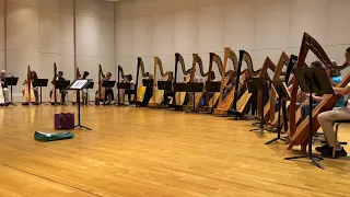 Waltz by Brahms, practice recording