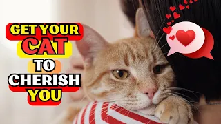 😸💝10 Scientifically Proven Ways To Get Your Cat To Love You |Tips to Improve Your Bond