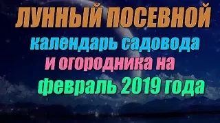 Лунный посевной календарь садовода и огородника на февраль 2019 года