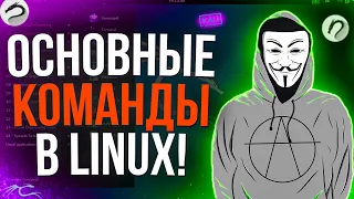 ОСНОВНЫЕ КОМАНДЫ Linux КОТОРЫЕ ДОЖНЫ ЗНАТЬ ВСЕ!    ТОП команды Linux//ОСНОВНЫЕ КОМАНДЫ!