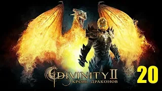 СДЕЛАЛ НЕКРОЗАВРА! • Divinity 2: Кровь драконов #20