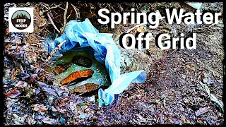 How To Develop A Natural Spring For $50 // Off Grid Water Source