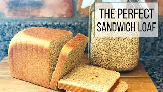 The PERFECT Sandwich Loaf!🍞|| Works with Store Bought & Fresh Ground flour!