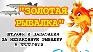 САМЫЕ БОЛЬШИЕ ШТРАФЫ в Беларуси. Штраф за незаконную рыбалку. Браконьерство