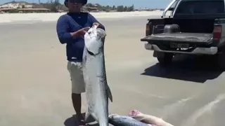 Música de PESCADOR. Brasil.