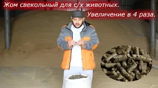 ЖОМ СВЕКОЛЬНЫЙ ДЛЯ  С/Х ЖИВОТНЫХ