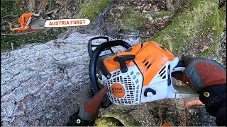 Holzfällen mit Stihl 500 i