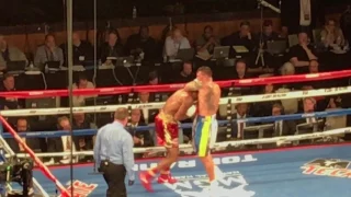 Aleksandr Usyk vs. Michael Hunter