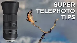 Super Telephoto Lens Tips | Tamron 150-600mm F5-6.3 VC DI G2