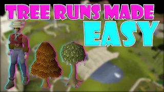 Quick Guide to Tree Runs in OSRS | Farming Guide