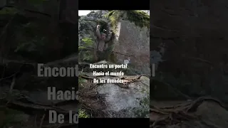 ENCONTRE un Portal Hacia el mundo de los Duendes en un Bosque en Suecia.