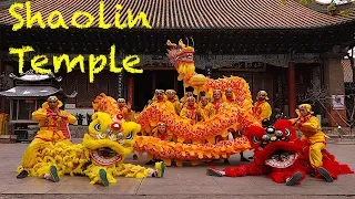 A WEEK in the SHAOLIN TEMPLE | Learn KUNG FU in CHINA | Yunnan Shaolin Temple PART I
