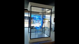 Muxwave Double Sided Holographic Invisible Transparent Led Screen In France